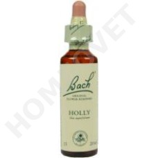 Bach Holly / Ilex aquifolium (Hulst)